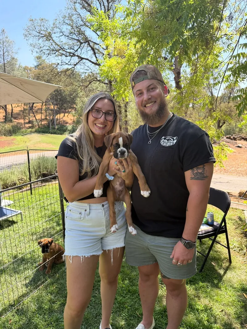 Moose, a fawn Boxer puppy with white markings, held by the couple who took Moose home