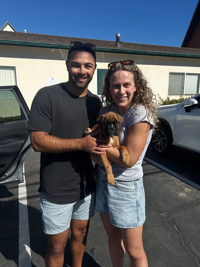 Mulan, a fawn Boxer puppy, in the arms of her new family