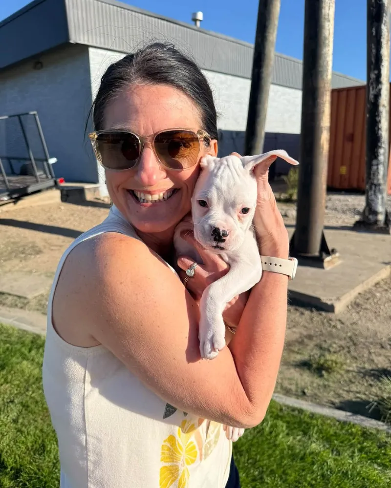 Maple, a white Boxer puppy, hugged by a member of her new family